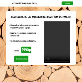 Скриншот главной страницы сайта litlepila.ru