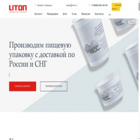 Скриншот главной страницы сайта liton.ru