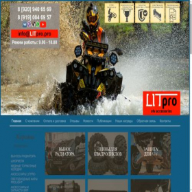 Скриншот главной страницы сайта litpro.pro