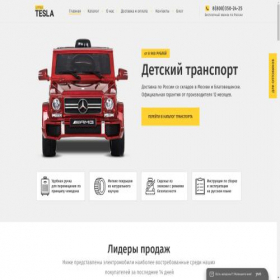 Скриншот главной страницы сайта littletesla.ru