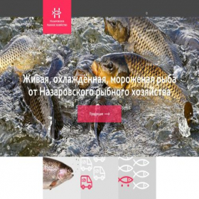 Скриншот главной страницы сайта livelyfish.ru