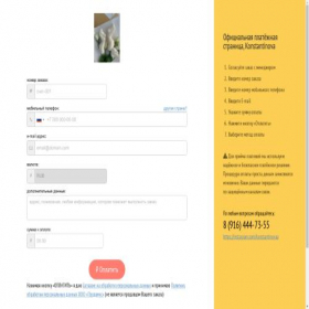 Скриншот главной страницы сайта lizabeth-mercury.payform.ru