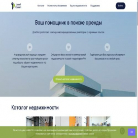 Скриншот главной страницы сайта local-expert.online