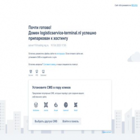 Скриншот главной страницы сайта logisticservice-terminal.nl