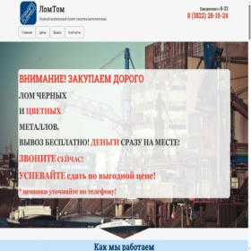 Скриншот главной страницы сайта lomtom.ru
