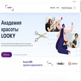 Скриншот главной страницы сайта looky.pro