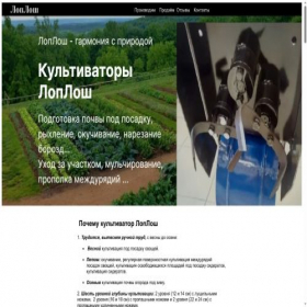 Скриншот главной страницы сайта loploshi.ru