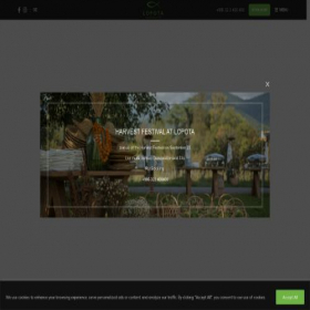 Скриншот главной страницы сайта lopotaresort.com