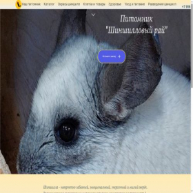 Скриншот главной страницы сайта lovelychins.ru