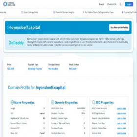 Скриншот главной страницы сайта loyensloeff.capital