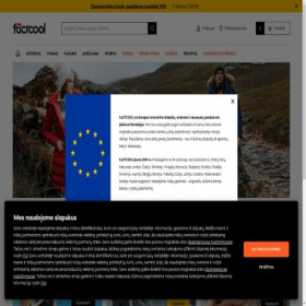 Скриншот главной страницы сайта lt.factcool.com