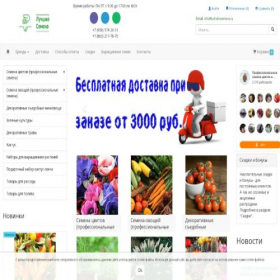 Скриншот главной страницы сайта luchshiesemena.ru