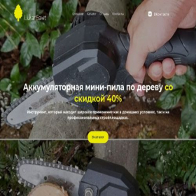 Скриншот главной страницы сайта lukansawt.ru
