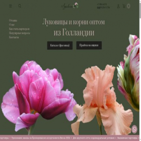 Скриншот главной страницы сайта lukovica-opt.ru