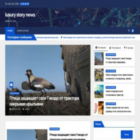 Скриншот главной страницы сайта luxury4storynews.com