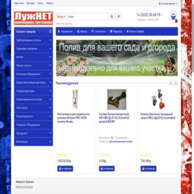 Скриншот главной страницы сайта luzhnet.ru