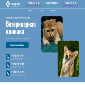 Скриншот главной страницы сайта lvt-cln-vet.tilda.ws
