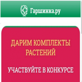 Скриншот главной страницы сайта m.pixclio.ru