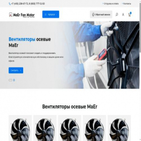 Скриншот главной страницы сайта maer-fan.ru