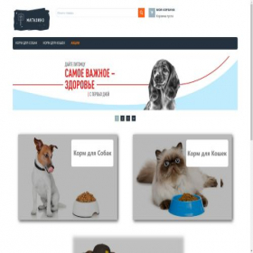 Скриншот главной страницы сайта magazino.click