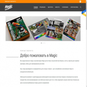 Скриншот главной страницы сайта magic-parrot.com