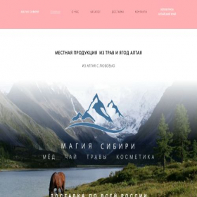 Скриншот главной страницы сайта magic-siberia.ru