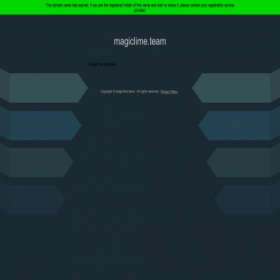 Скриншот главной страницы сайта magiclime.team