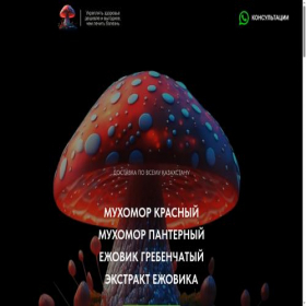 Скриншот главной страницы сайта magicmushrooms.kz
