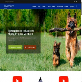 Скриншот главной страницы сайта magistrdog.ru