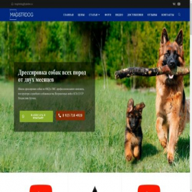 Скриншот главной страницы сайта magistrdogtraining.ru