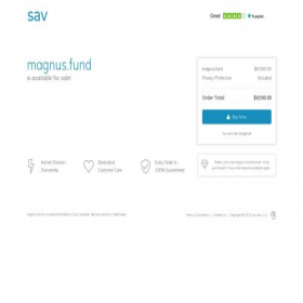 Скриншот главной страницы сайта magnus.fund