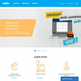 Скриншот главной страницы сайта maleo.ge