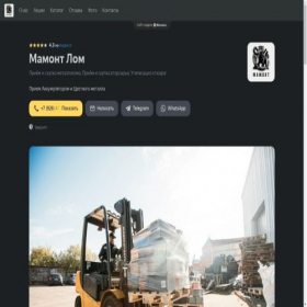 Скриншот главной страницы сайта mamont-lom.clients.site