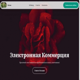 Скриншот главной страницы сайта mamy-komerc.ru