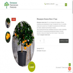 Скриншот главной страницы сайта mandarin-minigarden.ru