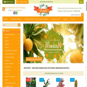 Скриншот главной страницы сайта mandarin-shop.ru