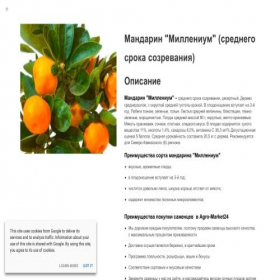Скриншот главной страницы сайта market-klementin.site