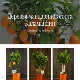 Скриншот главной страницы сайта marketagro.site