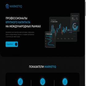 Скриншот главной страницы сайта marketiqi.ru