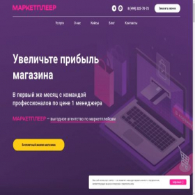 Скриншот главной страницы сайта marketplayer.ru