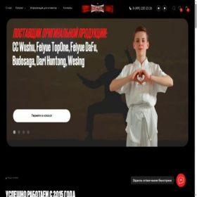 Скриншот главной страницы сайта martial-store.ru