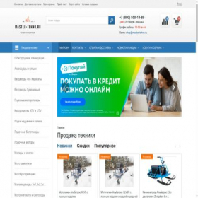 Скриншот главной страницы сайта master-tehno.ru