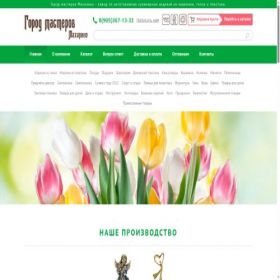 Скриншот главной страницы сайта masterovgorod.ru