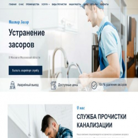 Скриншот главной страницы сайта masterzasor.ru