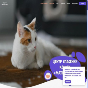 Скриншот главной страницы сайта matroskin-perm.ru