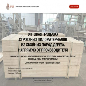 Скриншот главной страницы сайта matryeshka-llc.ru