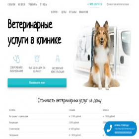 Скриншот главной страницы сайта mavet.ru