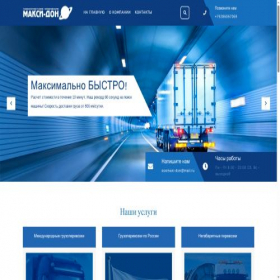 Скриншот главной страницы сайта maxi-don.ru
