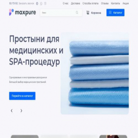 Скриншот главной страницы сайта maxpure.ru