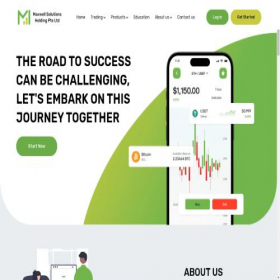 Скриншот главной страницы сайта maxwellsolutionsholding.com